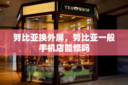 努比亚换外屏，努比亚一般手机店能修吗-第1张图片-星选测评