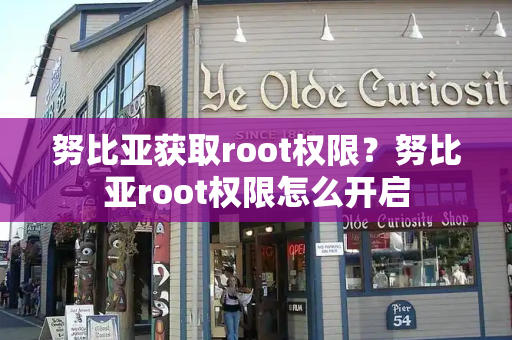 努比亚获取root权限？努比亚root权限怎么开启