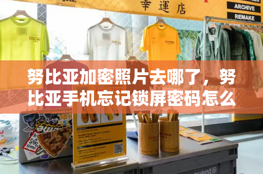 努比亚加密照片去哪了，努比亚手机忘记锁屏密码怎么解