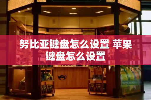 努比亚键盘怎么设置 苹果键盘怎么设置-第1张图片-星选测评