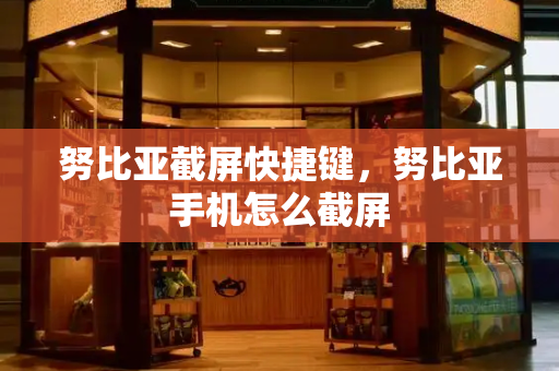 努比亚截屏快捷键，努比亚手机怎么截屏