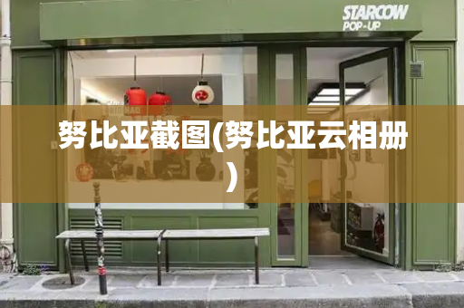 努比亚截图(努比亚云相册)-第1张图片-星选测评