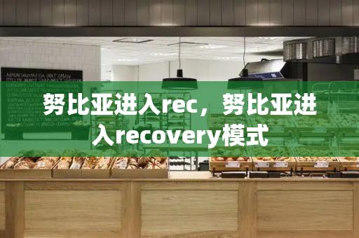 努比亚进入rec，努比亚进入recovery模式-第1张图片-星选测评