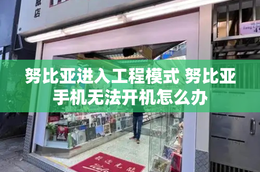 努比亚进入工程模式 努比亚手机无法开机怎么办