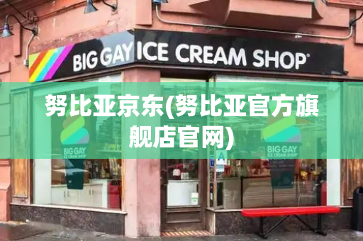努比亚京东(努比亚官方旗舰店官网)