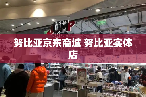 努比亚京东商城 努比亚实体店