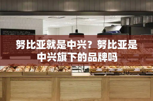 努比亚就是中兴？努比亚是中兴旗下的品牌吗