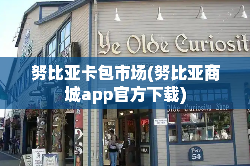 努比亚卡包市场(努比亚商城app官方下载)