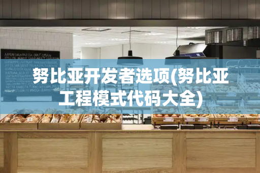 努比亚开发者选项(努比亚工程模式代码大全)