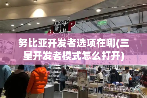 努比亚开发者选项在哪(三星开发者模式怎么打开)
