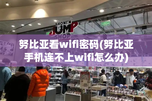 努比亚看wifi密码(努比亚手机连不上wifi怎么办)-第1张图片-星选测评