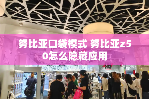 努比亚口袋模式 努比亚z50怎么隐藏应用