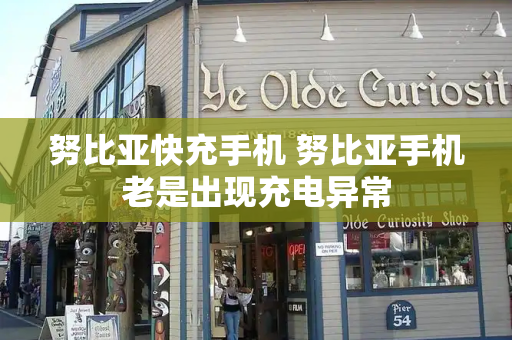 努比亚快充手机 努比亚手机老是出现充电异常-第1张图片-星选测评