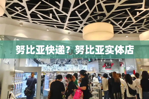努比亚快递？努比亚实体店-第1张图片-星选测评