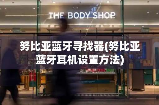 努比亚蓝牙寻找器(努比亚蓝牙耳机设置方法)-第1张图片-星选测评