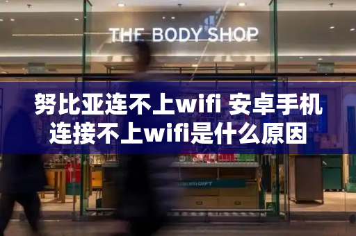 努比亚连不上wifi 安卓手机连接不上wifi是什么原因