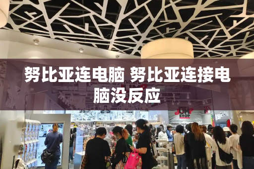 努比亚连电脑 努比亚连接电脑没反应