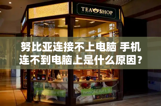 努比亚连接不上电脑 手机连不到电脑上是什么原因？-第1张图片-星选测评