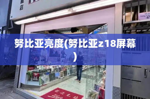 努比亚亮度(努比亚z18屏幕)