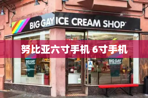 努比亚六寸手机 6寸手机-第1张图片-星选测评