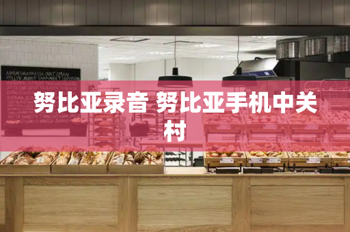 努比亚录音 努比亚手机中关村