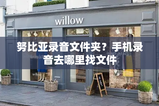 努比亚录音文件夹？手机录音去哪里找文件-第1张图片-星选测评