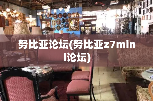 努比亚论坛(努比亚z7mini论坛)