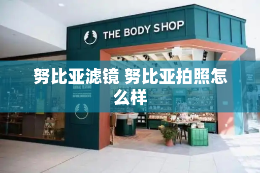 努比亚滤镜 努比亚拍照怎么样