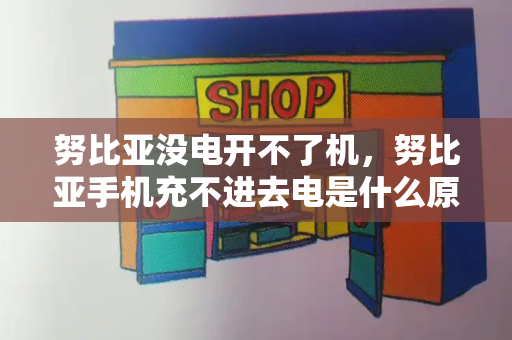 努比亚没电开不了机，努比亚手机充不进去电是什么原因-第1张图片-星选测评
