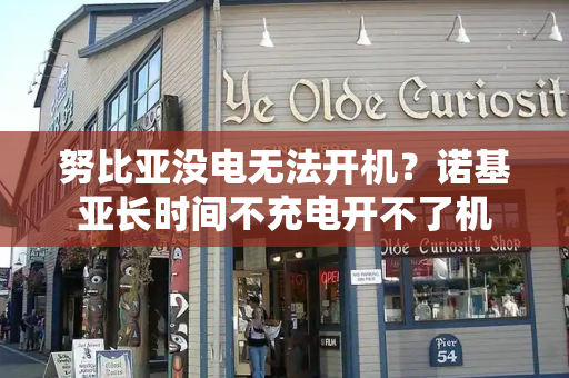 努比亚没电无法开机？诺基亚长时间不充电开不了机-第1张图片-星选测评