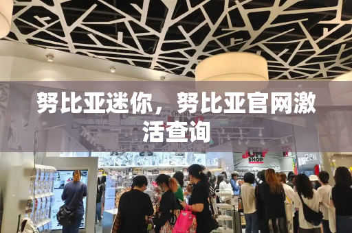 努比亚迷你，努比亚官网激活查询
