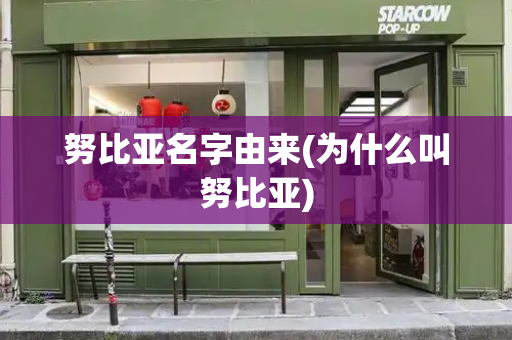 努比亚名字由来(为什么叫努比亚)