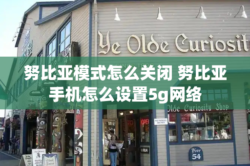 努比亚模式怎么关闭 努比亚手机怎么设置5g网络-第1张图片-星选测评