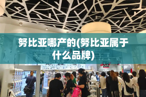 努比亚哪产的(努比亚属于什么品牌)