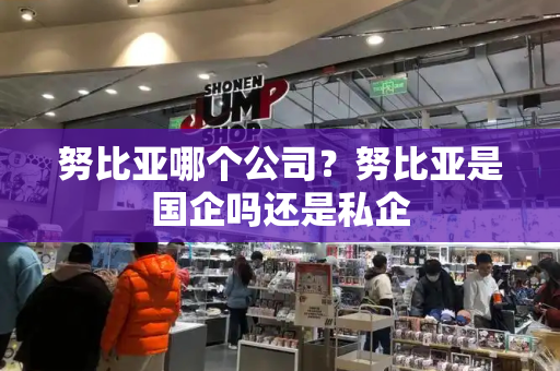 努比亚哪个公司？努比亚是国企吗还是私企-第1张图片-星选测评