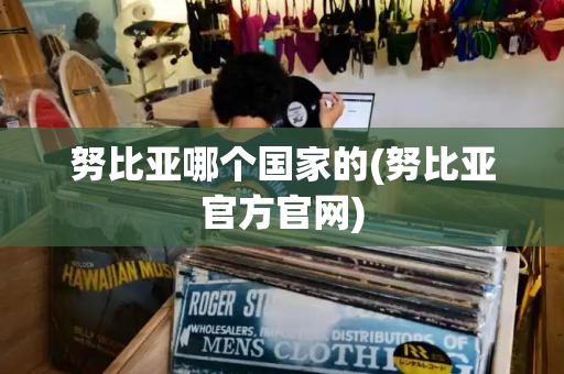 努比亚哪个国家的(努比亚官方官网)-第1张图片-星选测评