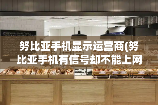 努比亚手机显示运营商(努比亚手机有信号却不能上网)