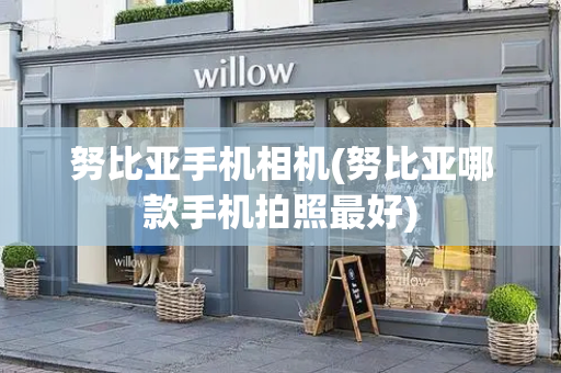 努比亚手机相机(努比亚哪款手机拍照最好)-第1张图片-星选测评