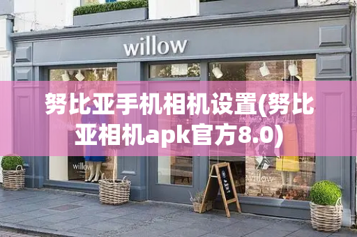 努比亚手机相机设置(努比亚相机apk官方8.0)-第1张图片-星选测评