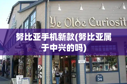 努比亚手机新款(努比亚属于中兴的吗)-第1张图片-星选测评