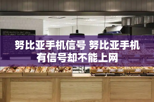努比亚手机信号 努比亚手机有信号却不能上网-第1张图片-星选测评