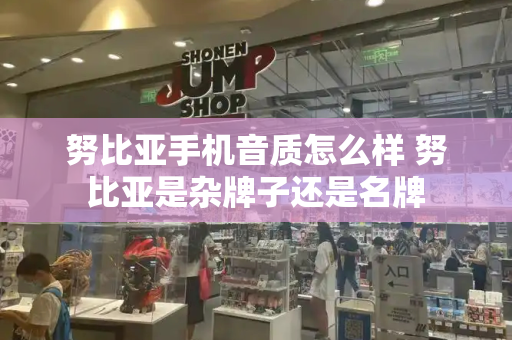 努比亚手机音质怎么样 努比亚是杂牌子还是名牌-第1张图片-星选测评