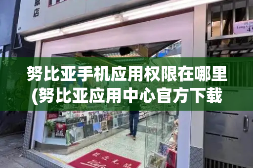 努比亚手机应用权限在哪里(努比亚应用中心官方下载)-第1张图片-星选测评