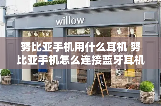 努比亚手机用什么耳机 努比亚手机怎么连接蓝牙耳机-第1张图片-星选测评