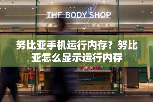 努比亚手机运行内存？努比亚怎么显示运行内存