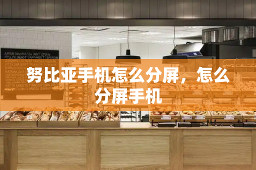 努比亚手机怎么分屏，怎么分屏手机-第1张图片-星选测评