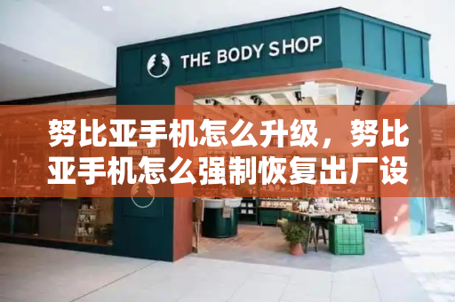 努比亚手机怎么升级，努比亚手机怎么强制恢复出厂设置-第1张图片-星选测评
