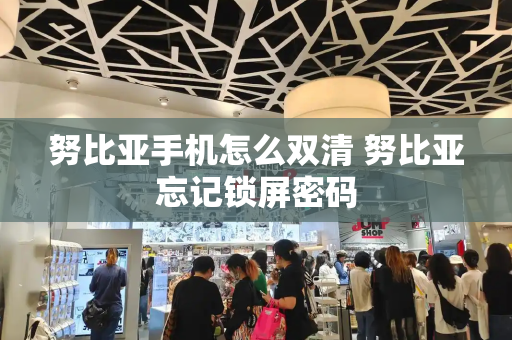 努比亚手机怎么双清 努比亚忘记锁屏密码