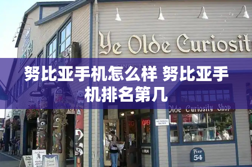 努比亚手机怎么样 努比亚手机排名第几-第1张图片-星选测评
