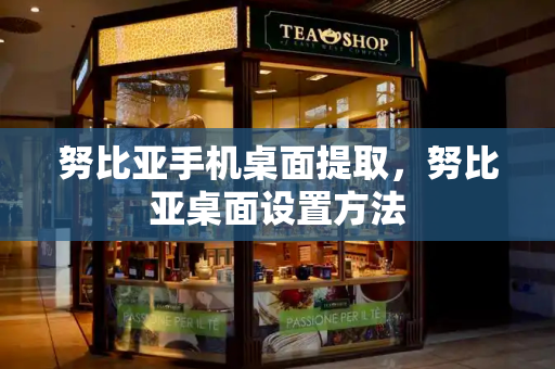 努比亚手机桌面提取，努比亚桌面设置方法